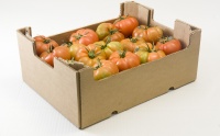 Product presentation of Tomato Marmande number 30